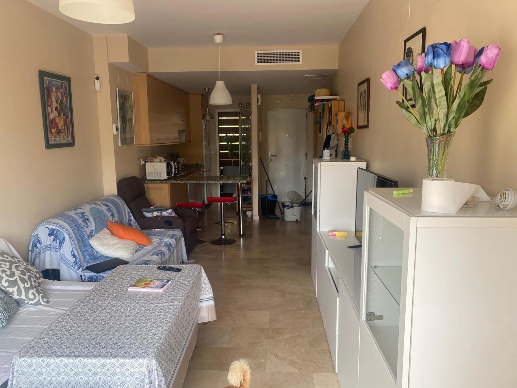 Apartment Playa *